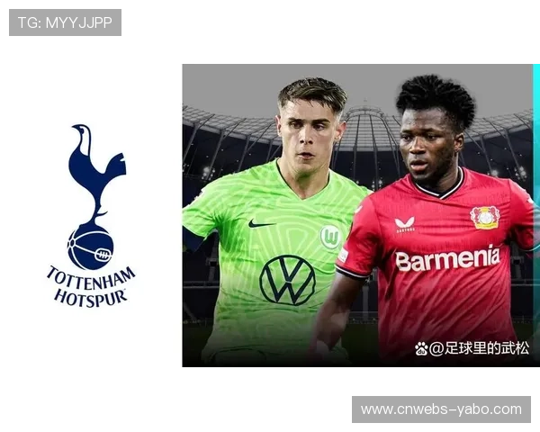 勒沃库森中卫塔普索巴成转会市场焦点，纽卡斯尔热刺竞相追逐