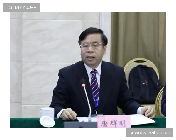 基层篮球训练营将“四人快攻”列为必修科目，强调早期意识培养